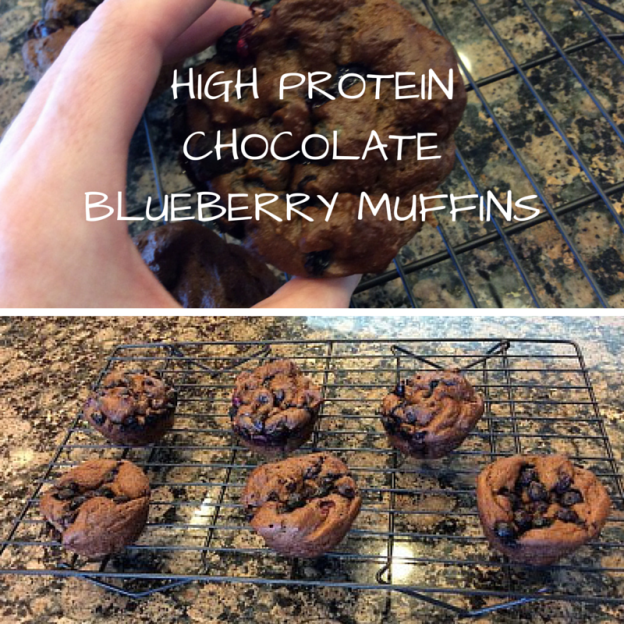 high protein chocolate blueberry muffins